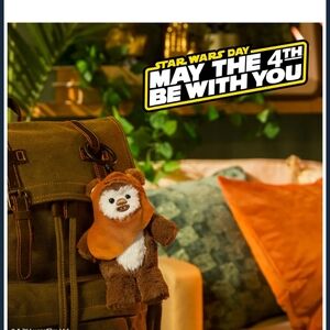 Star Wars Ewok Plush Keychain